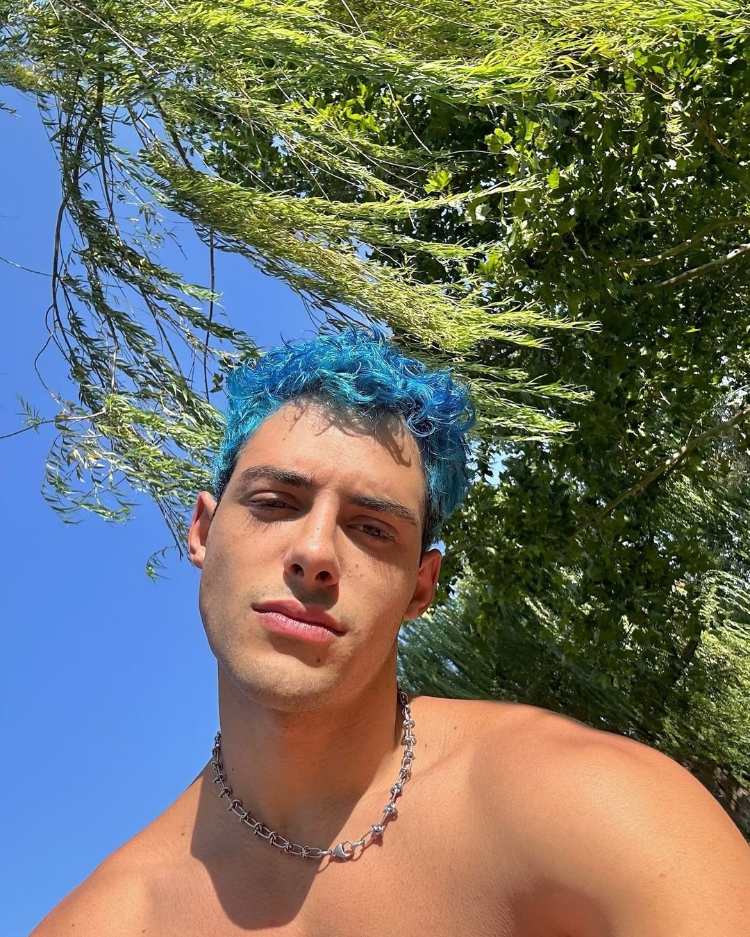 leonardo hazrak (9) #q6871iAS